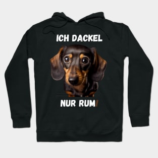 Sweet Dachshund - I Just Dachshund Around! Hoodie